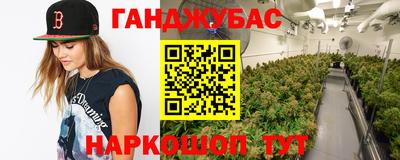 шишки Заводоуковск