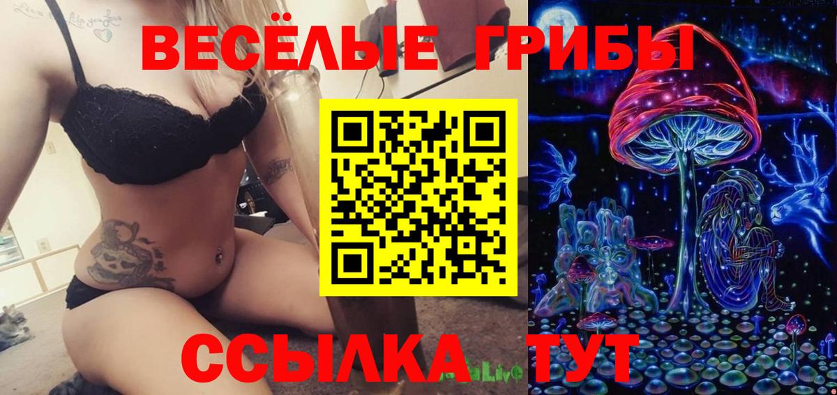 Псилоцибиновые грибы Psilocybine cubensis Луховицы