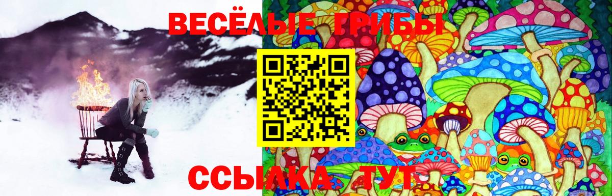  Cocaine Луховицы
